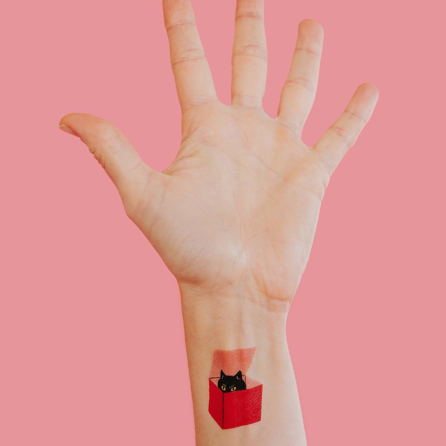 Cat in a Box Tattoo Pair