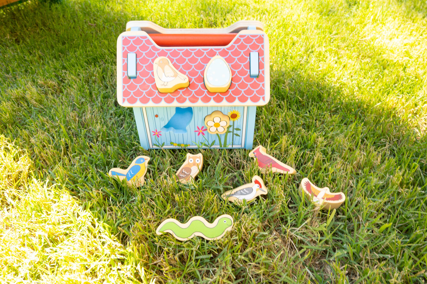 Bird House Sorter Box