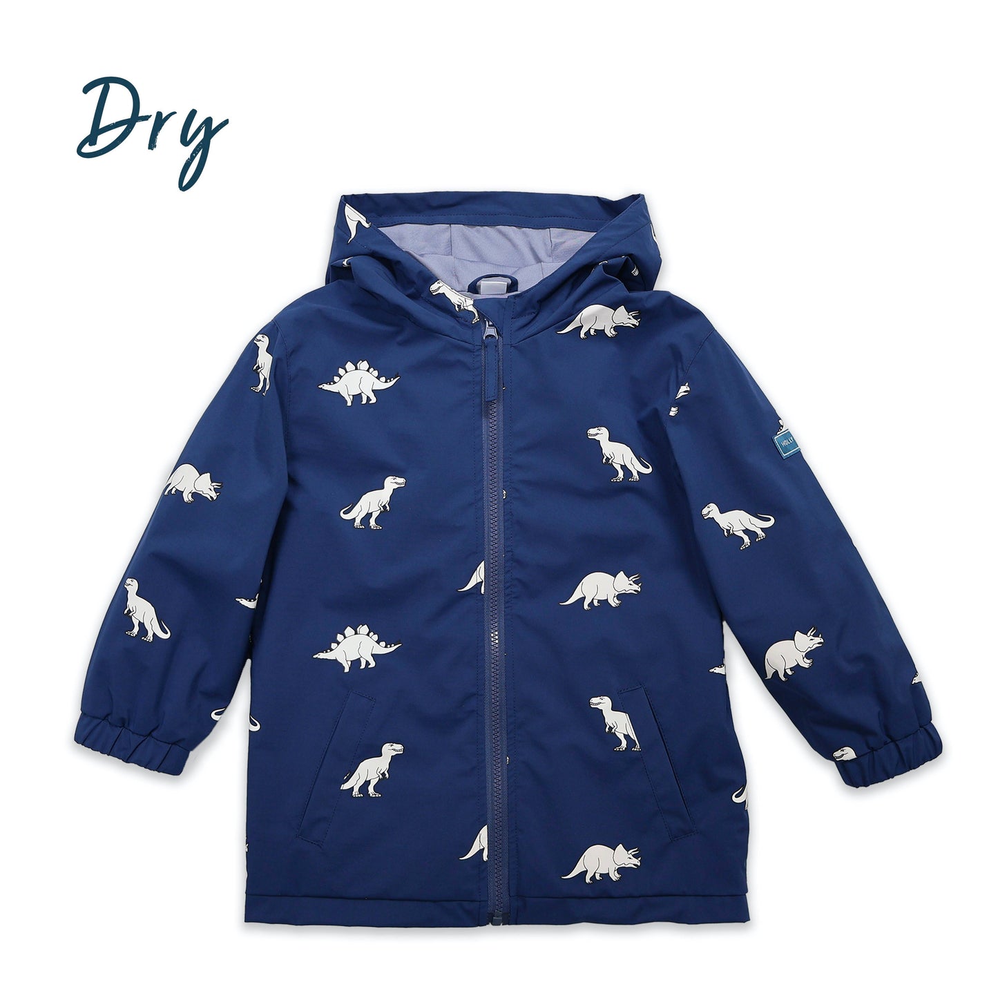Dinosaur Color Changing Raincoat