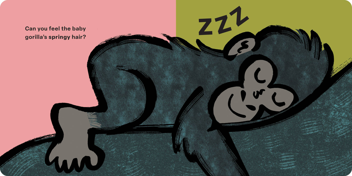 Spring Street Touch and Feel: Jungle Babies by Boxer Books