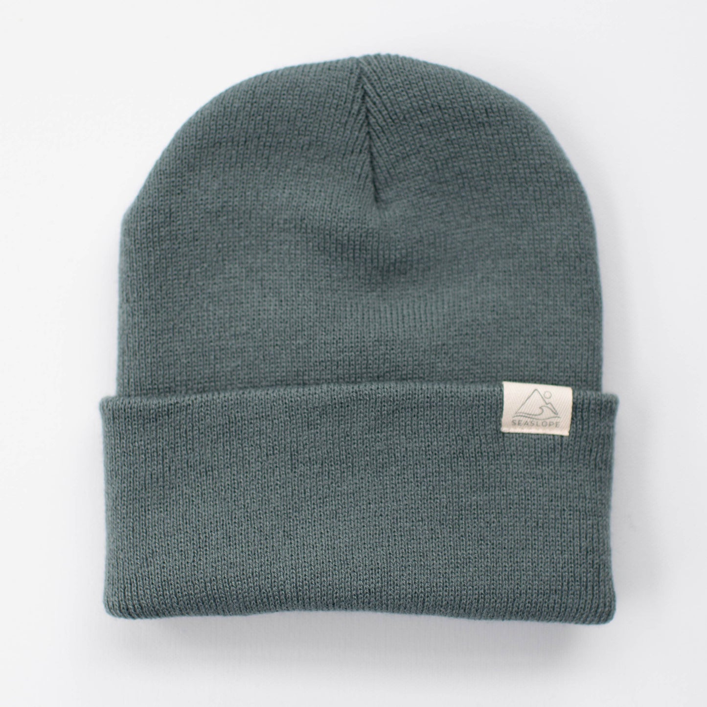 Spruce Beanie