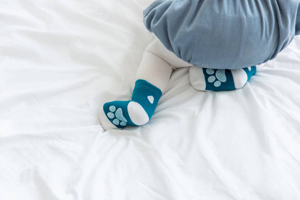 Polar Bear Zoo Socks