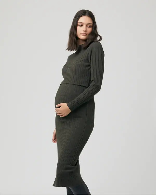 Nella Rib Nursing Knit Dress