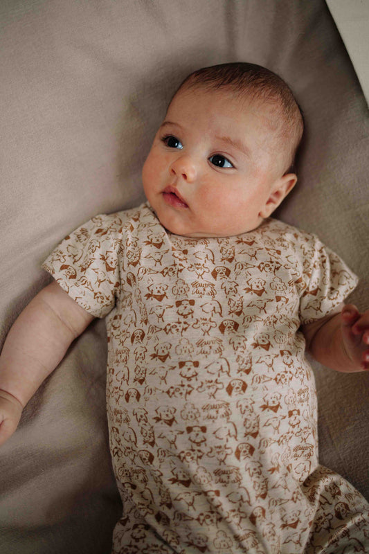 Gael Jersey Romper | Small Dogs