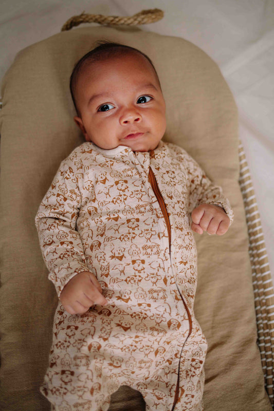 Gary Jersey off white | Small dogs