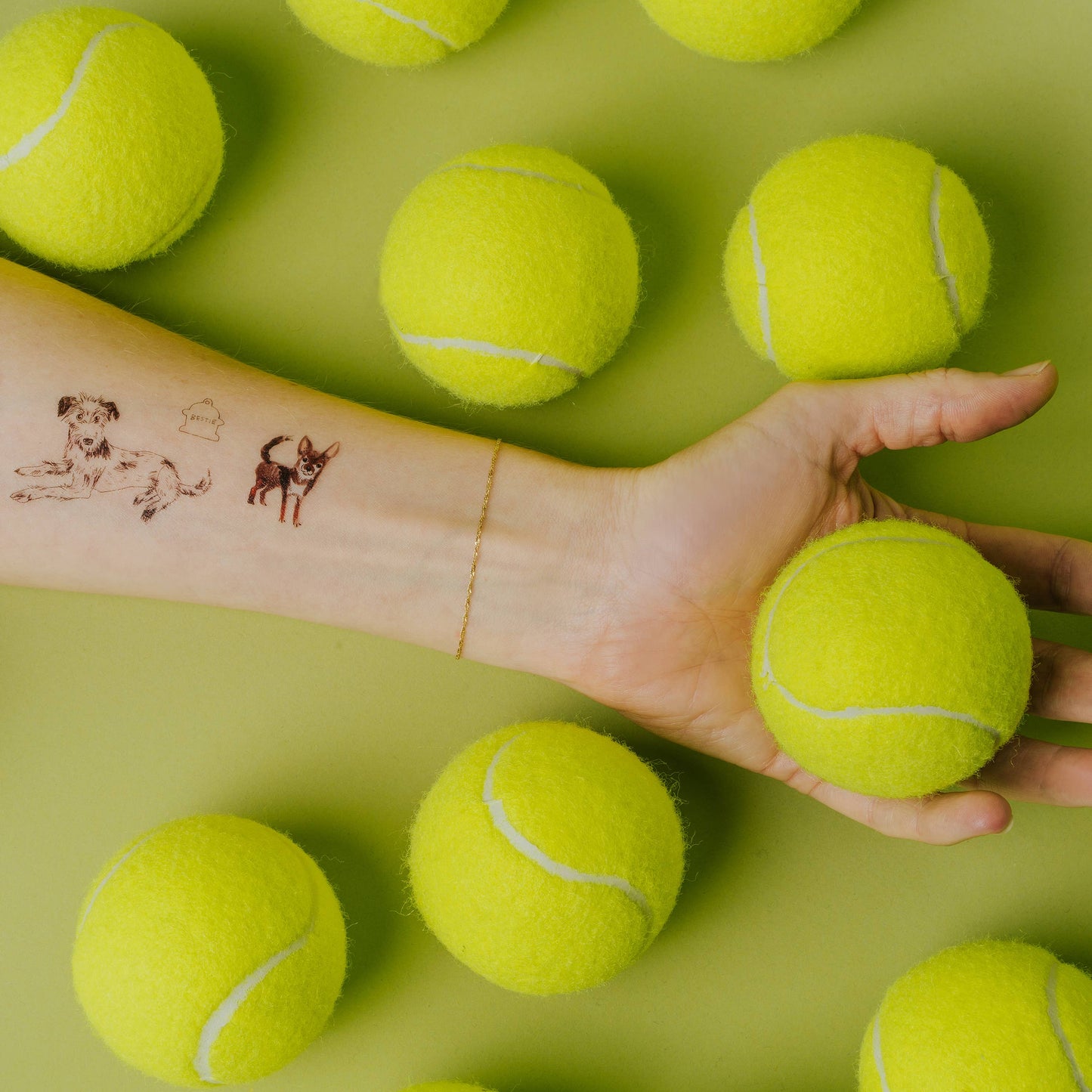 Dog Park Tattoo Sheet
