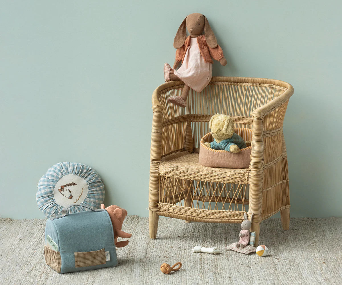 Pet Basket