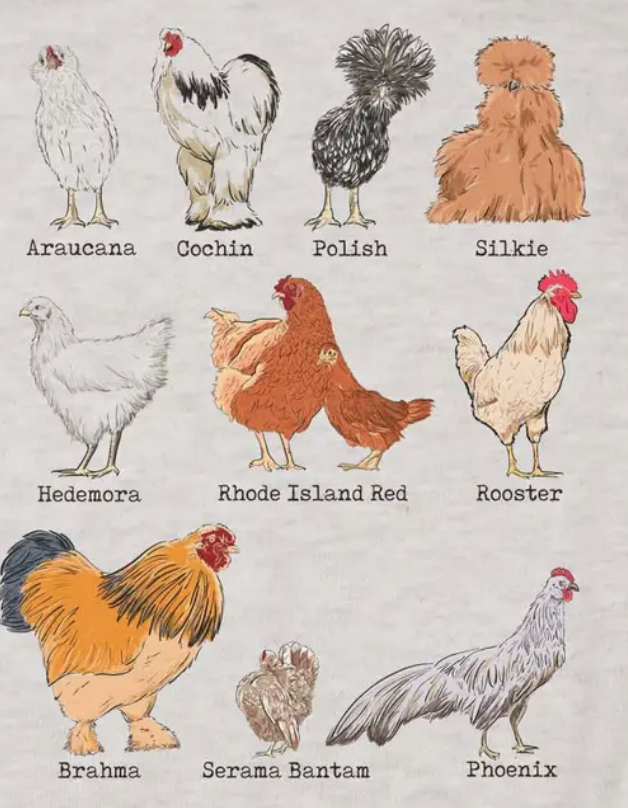 Chicken Breeds Baby Onesie