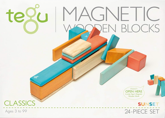 Tegu Magnetic Wooden Blocks -  24 Piece Set