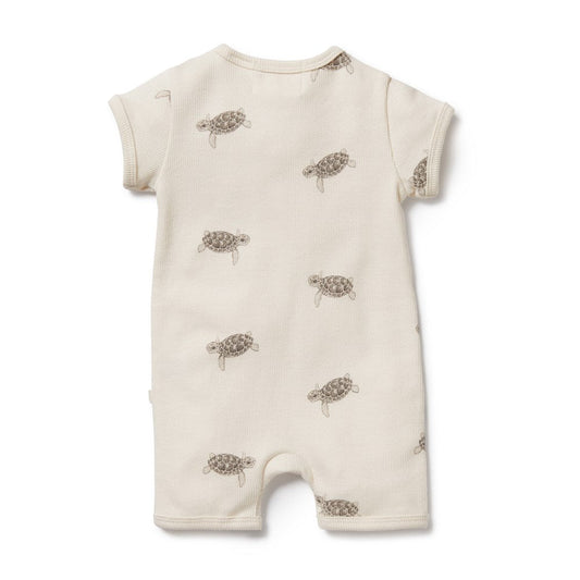 Organic Cotton Boyleg Zipsuit | Tiny Turtle