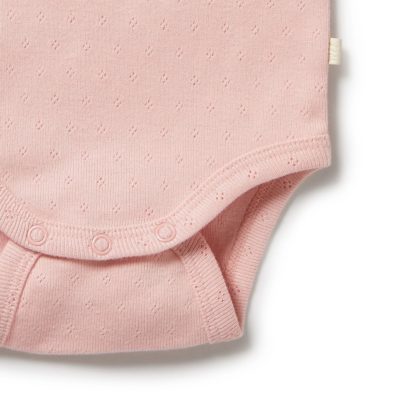 Organic Pointelle Singlet Bodysuit | Cantalope