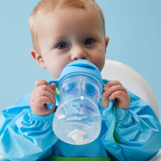 Sippy cup - blueberry
