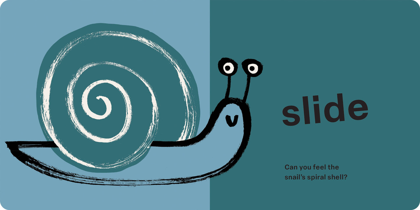 Spring Street Touch and Feel: Bugs by Boxer Books