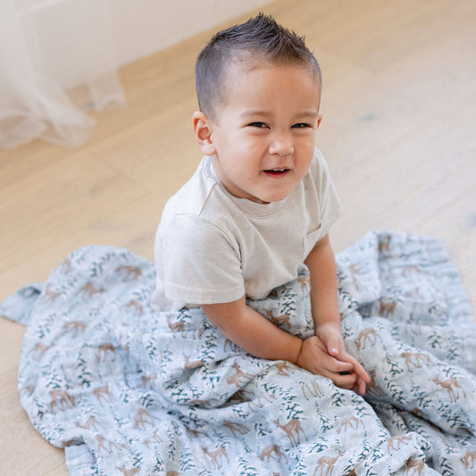 Blitzen & Nova Blue Reversible Blanket