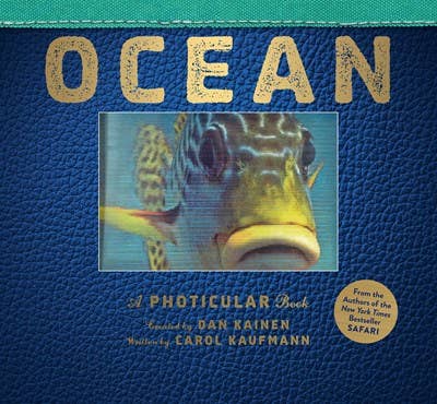 Ocean Photicular