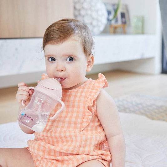 Sippy cup - blush