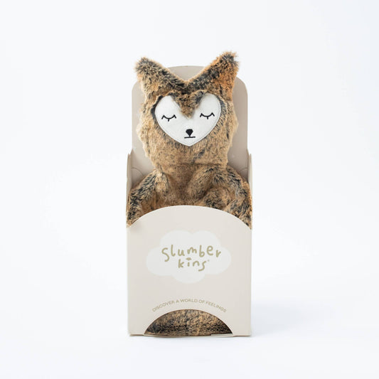 Fox's Navigating Change Set - with 2 books!