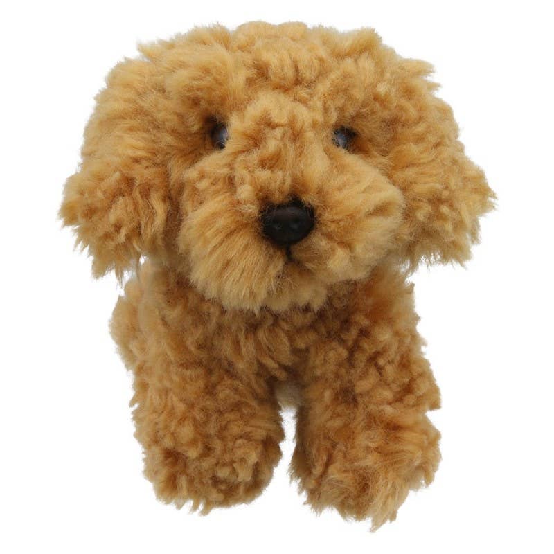Wilberry Minis: Cockapoo