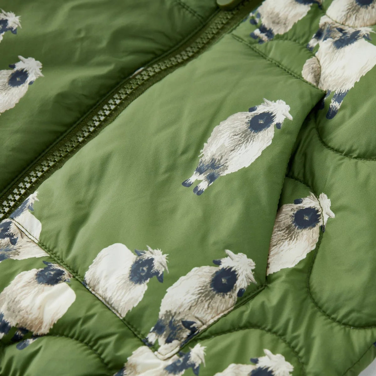 DOWN JACKET VALAIS SHEEP