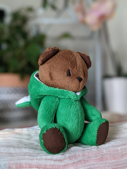 Teddy bear in a frog costume