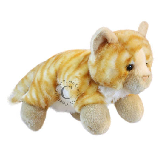 Full-Bodied Animal Hand Puppets - Cat (Ginger)