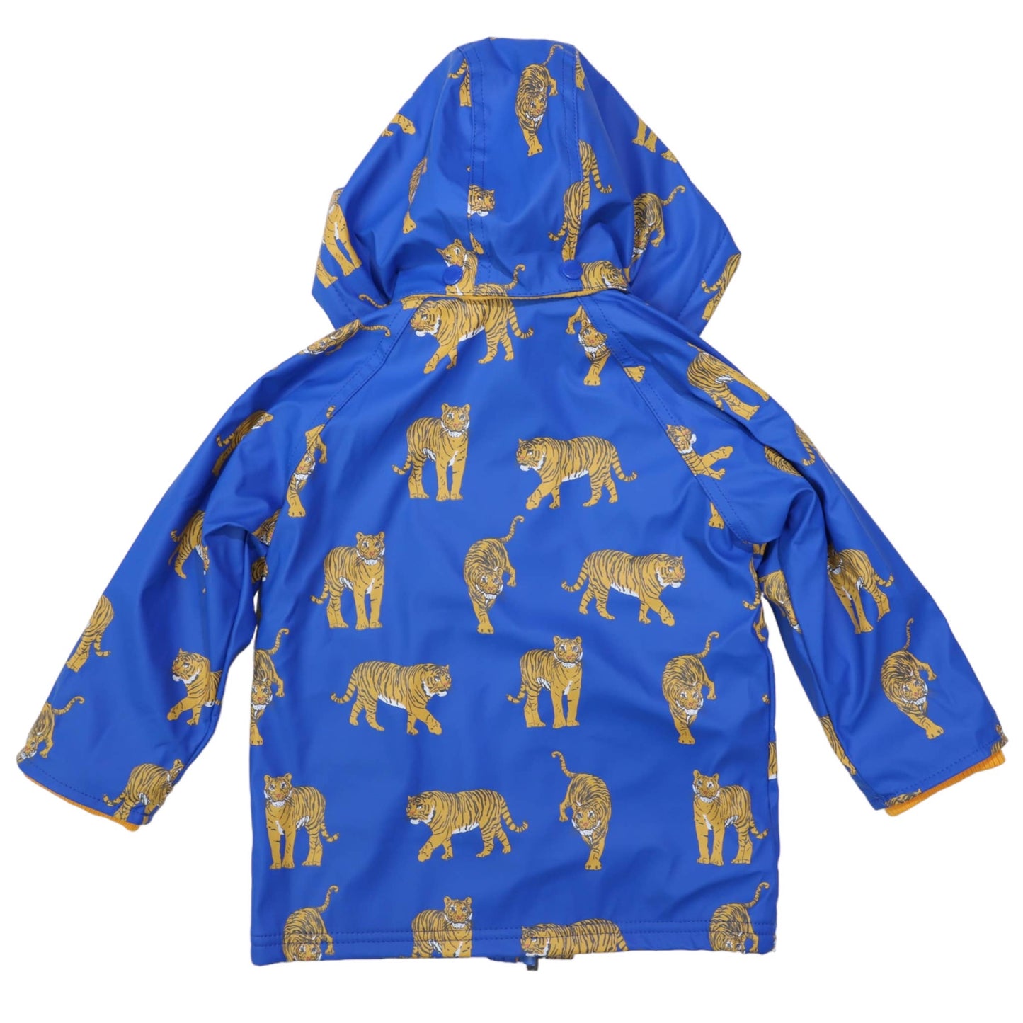 Tiger Raincoat Blue