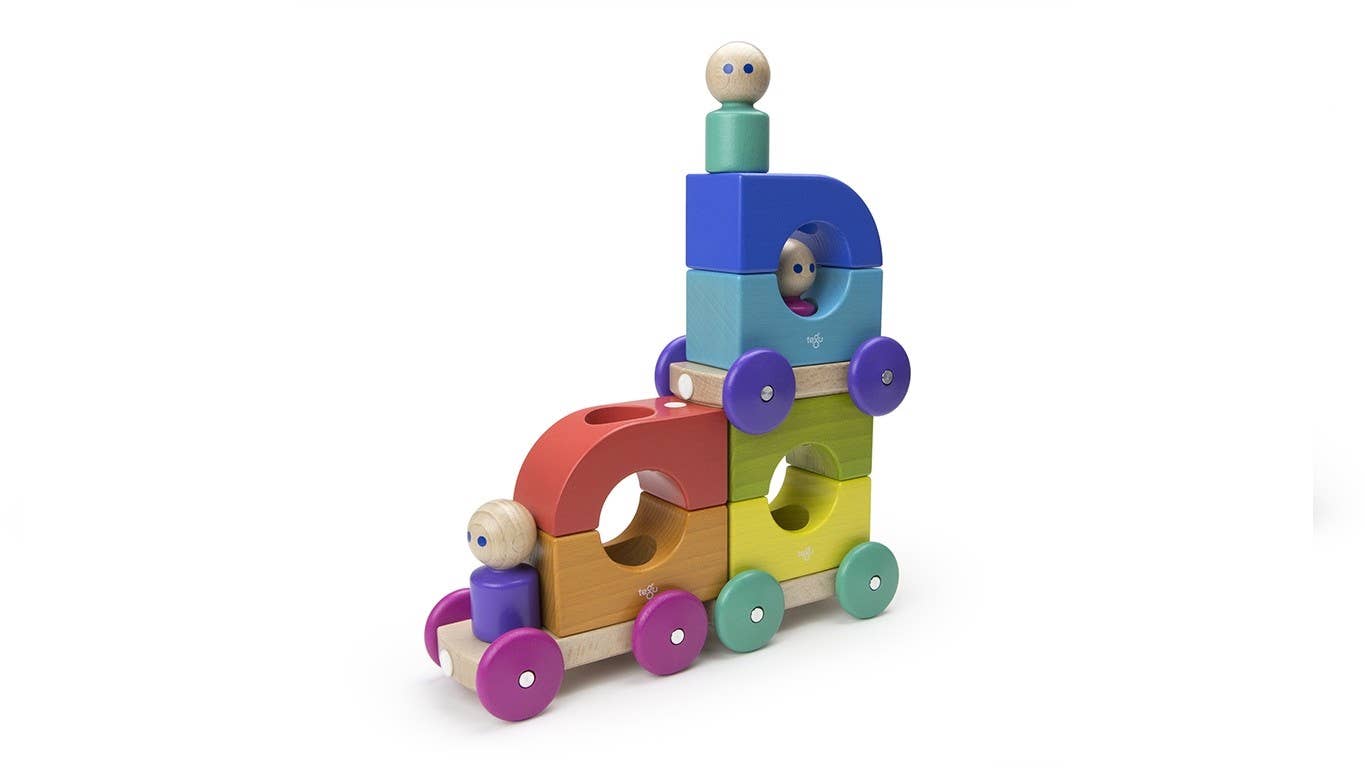 Magnetic Tegu Tram