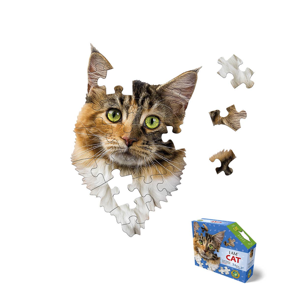 I AM CAT 24