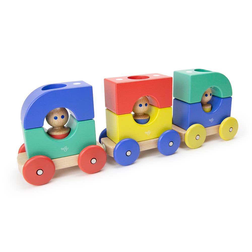 Magnetic Tegu Tram