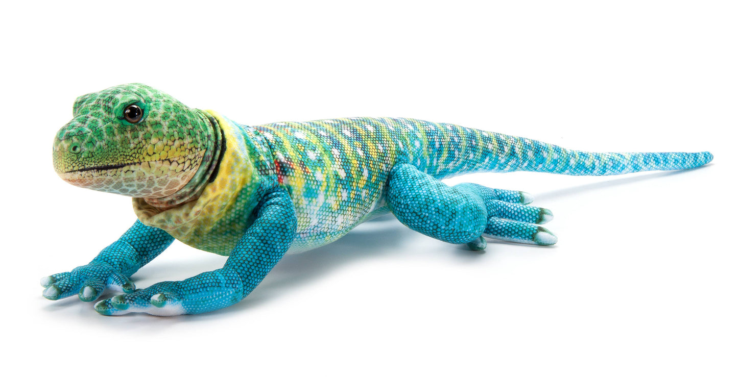 Wild Onez Collared Lizard