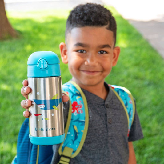 Insulated Stainless Steel Bottles