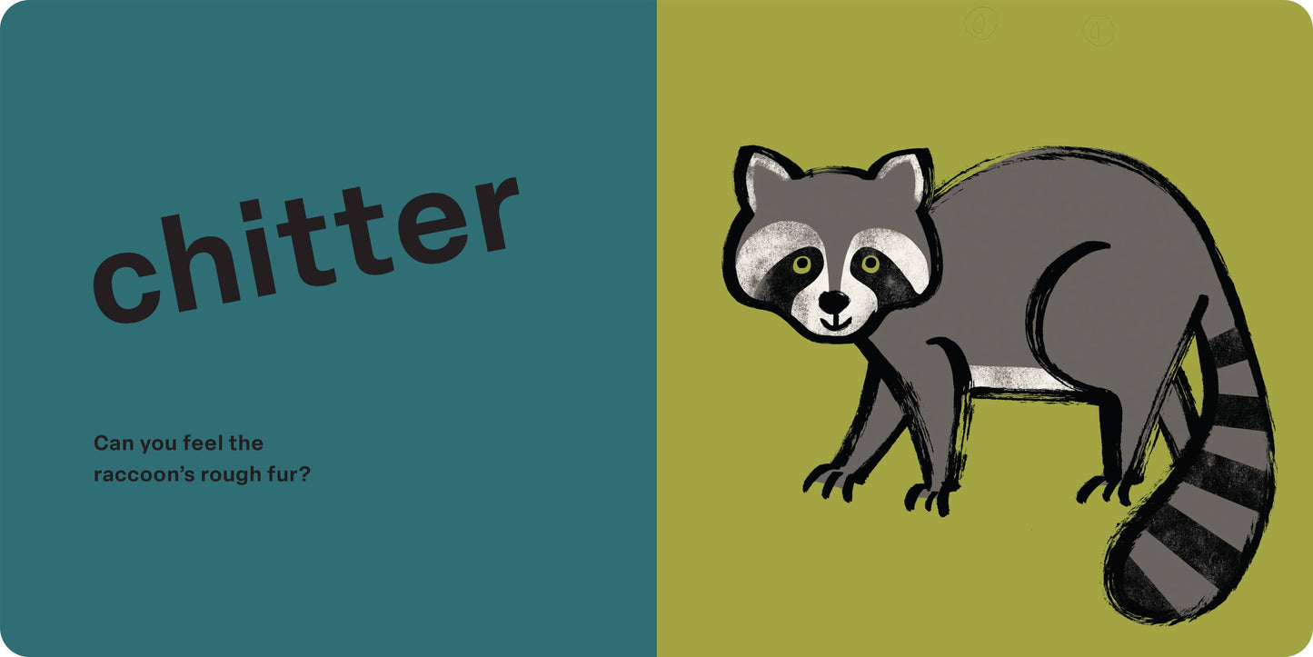 Spring Street Touch and Feel: Forest by Boxer Books