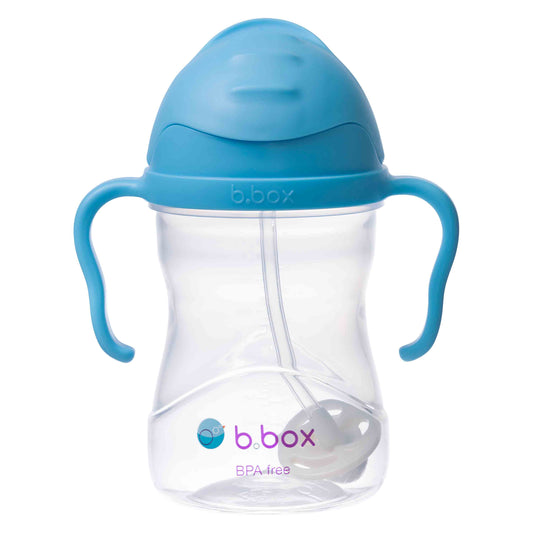 Sippy cup - blueberry