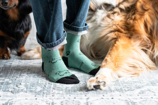 Kid's Dog Socks