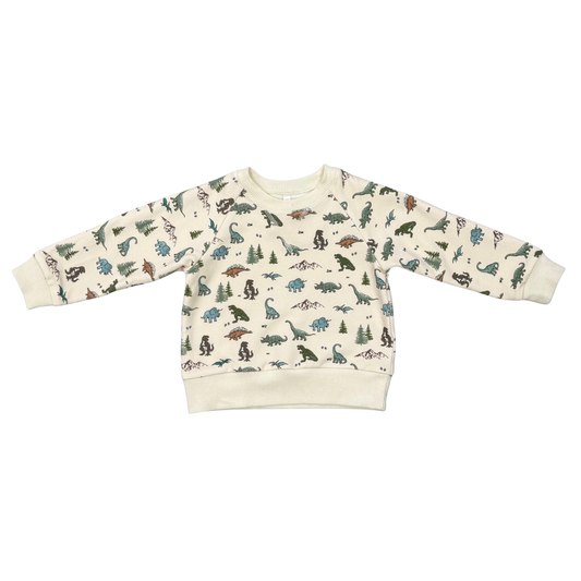 Babysprouts Boy's Fleece Sweatshirt