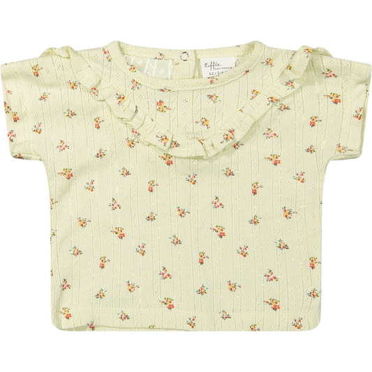 Ribbed T-Shirt & Tulle Skirt Set | Ecru Rose