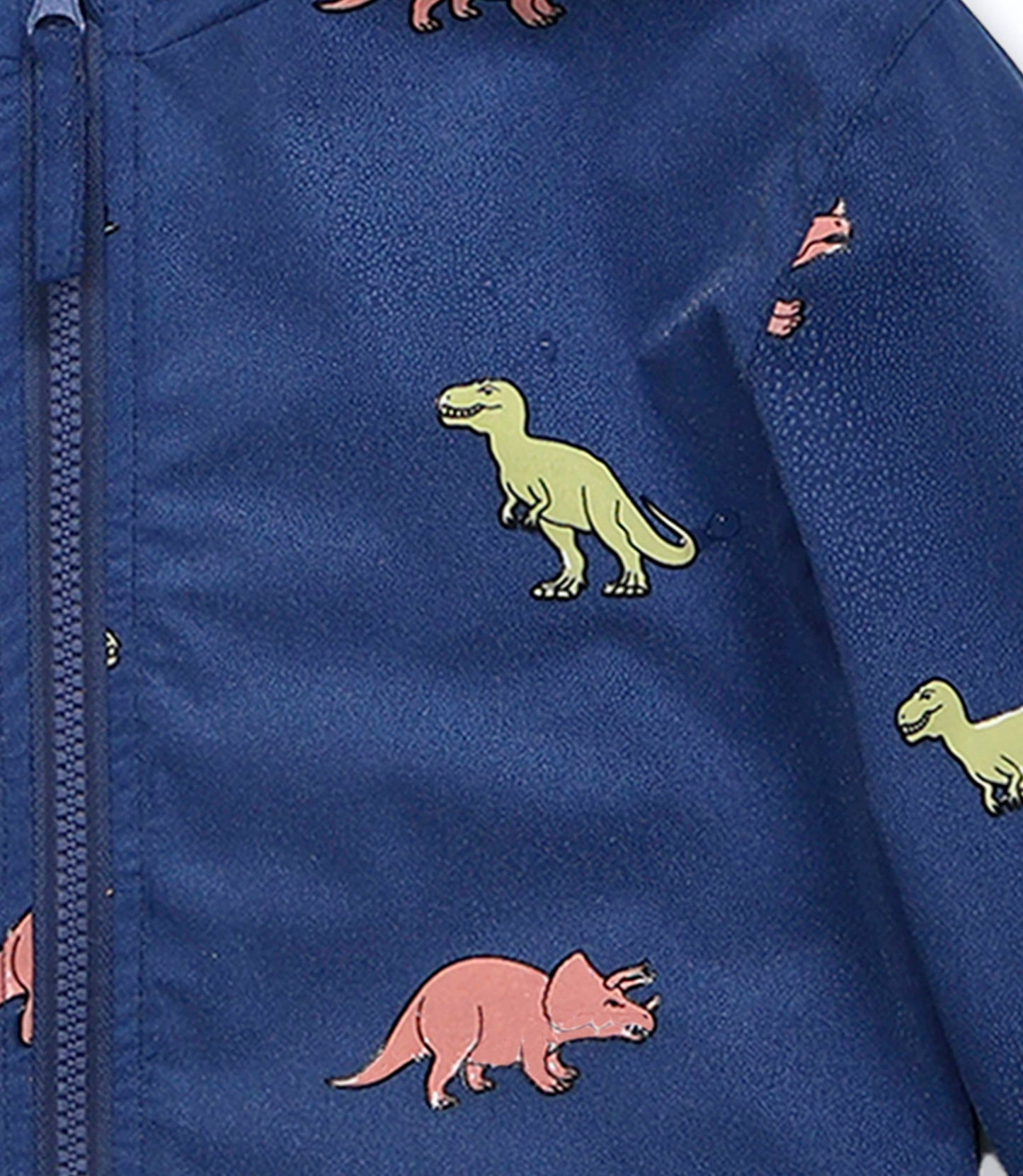 Dinosaur Color Changing Raincoat