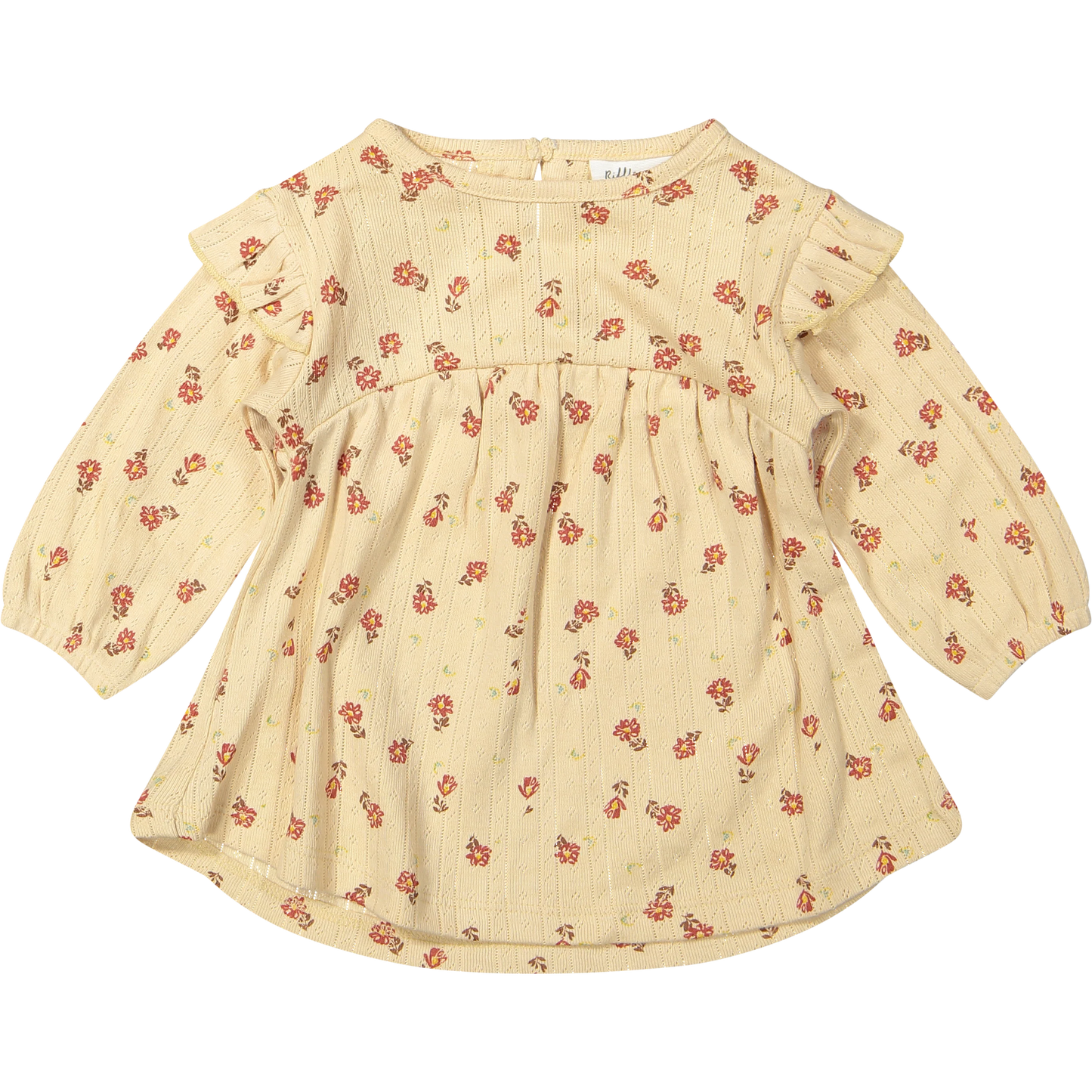 Dress Anemone- Small flower