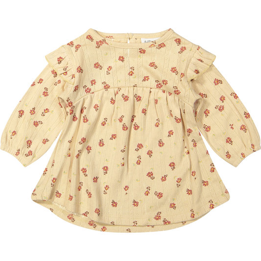 Dress Anemone- Small flower