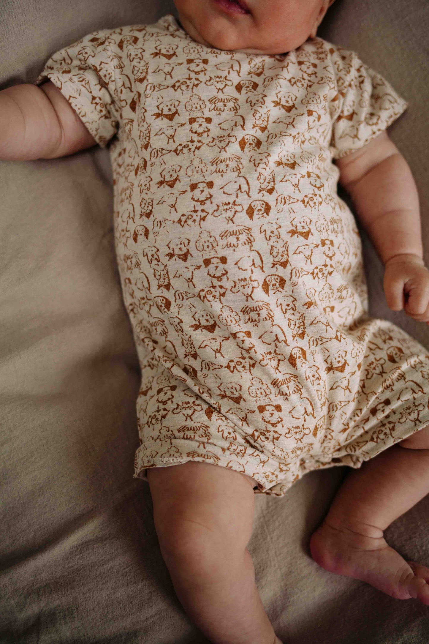 Gael Jersey Romper | Small Dogs