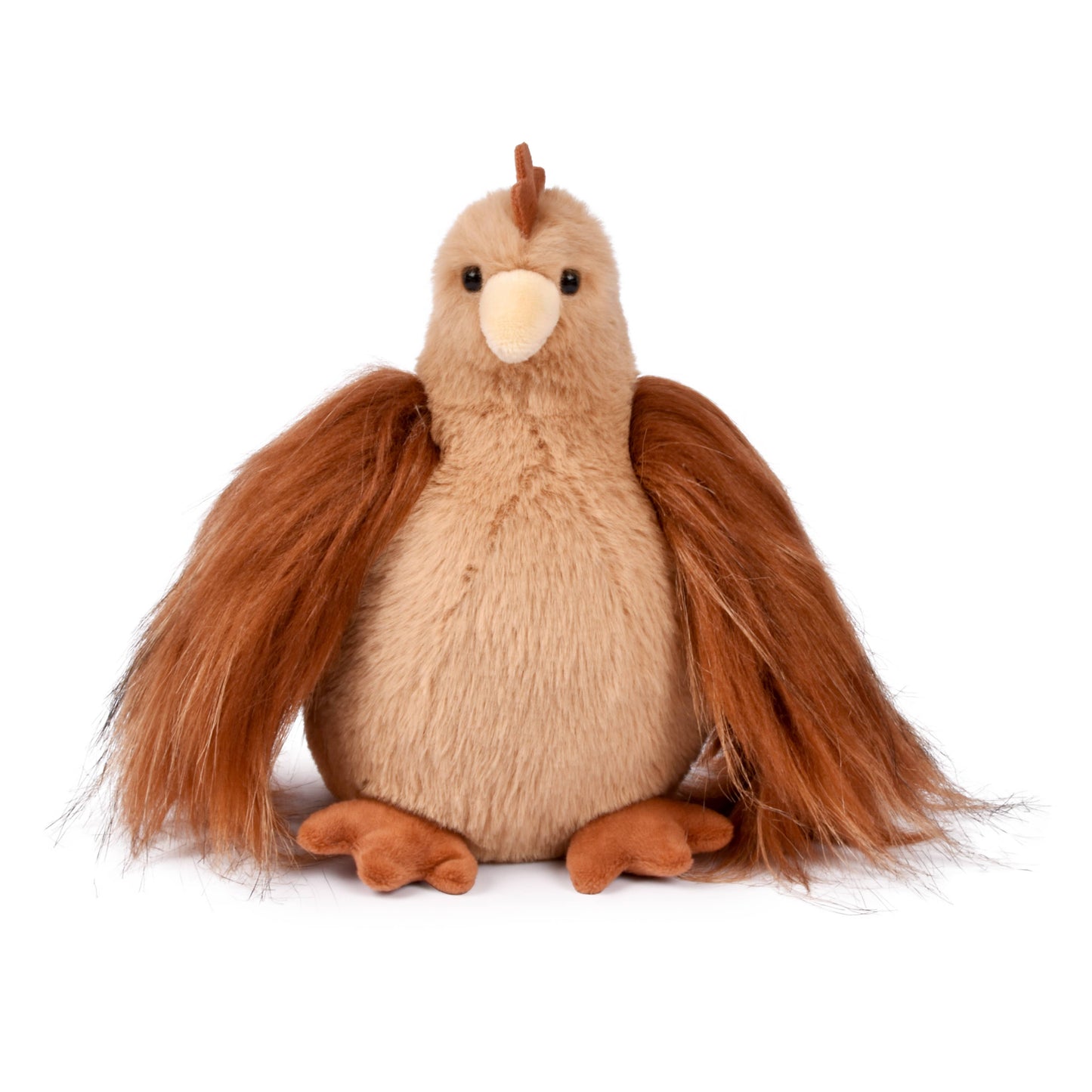Little Hen Redhead