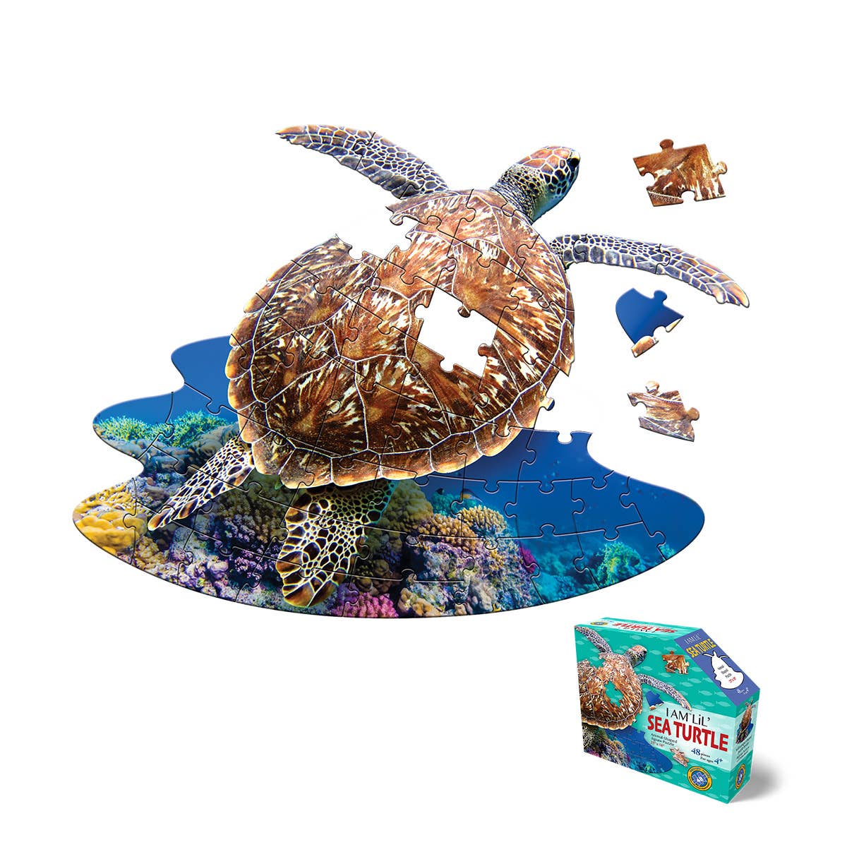 I AM LiL' SEA TURTLE 48
