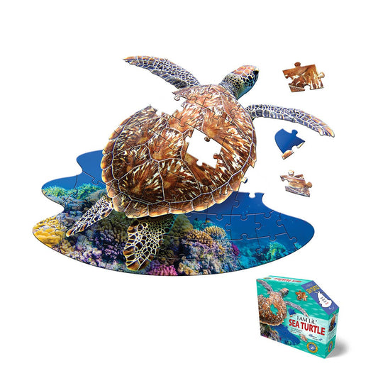 I AM LiL' SEA TURTLE 48