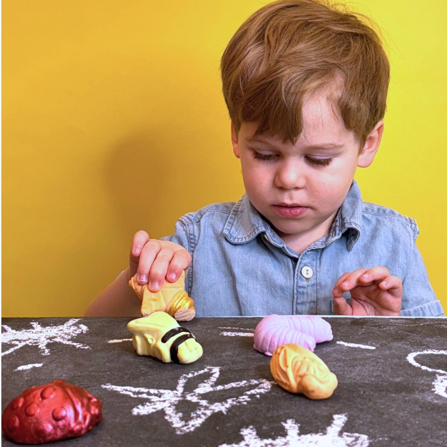 LIAM'S INSECTARIUM | TWEE HANDMADE SIDEWALK CHALK