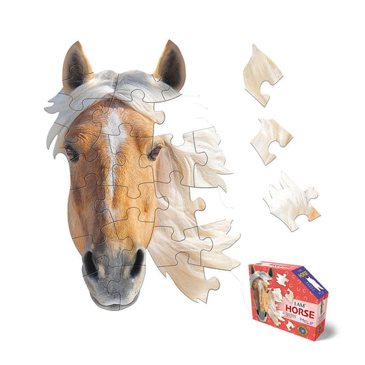 I AM HORSE 24