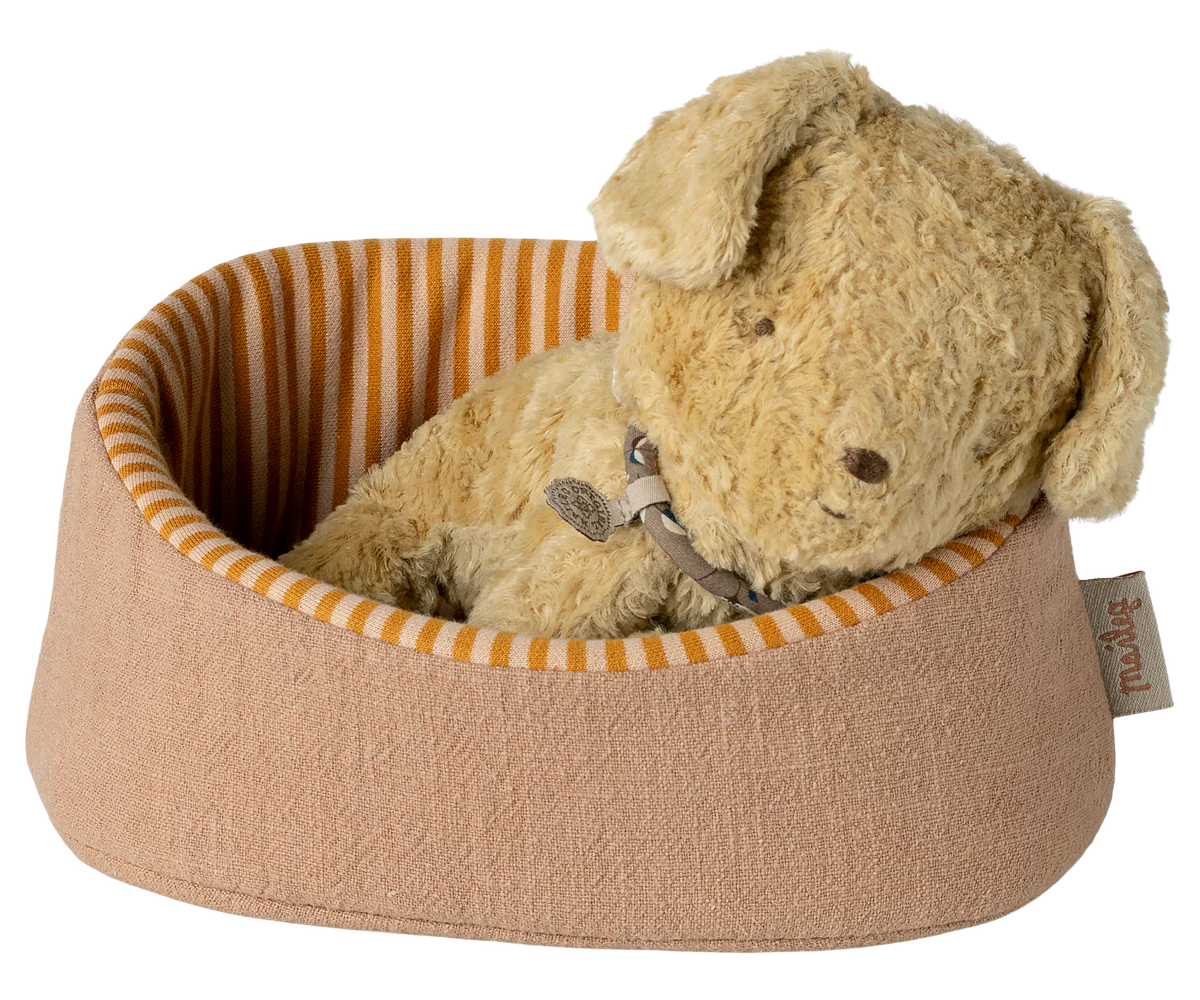 Pet Basket