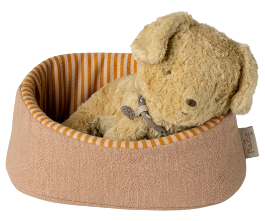 Pet Basket