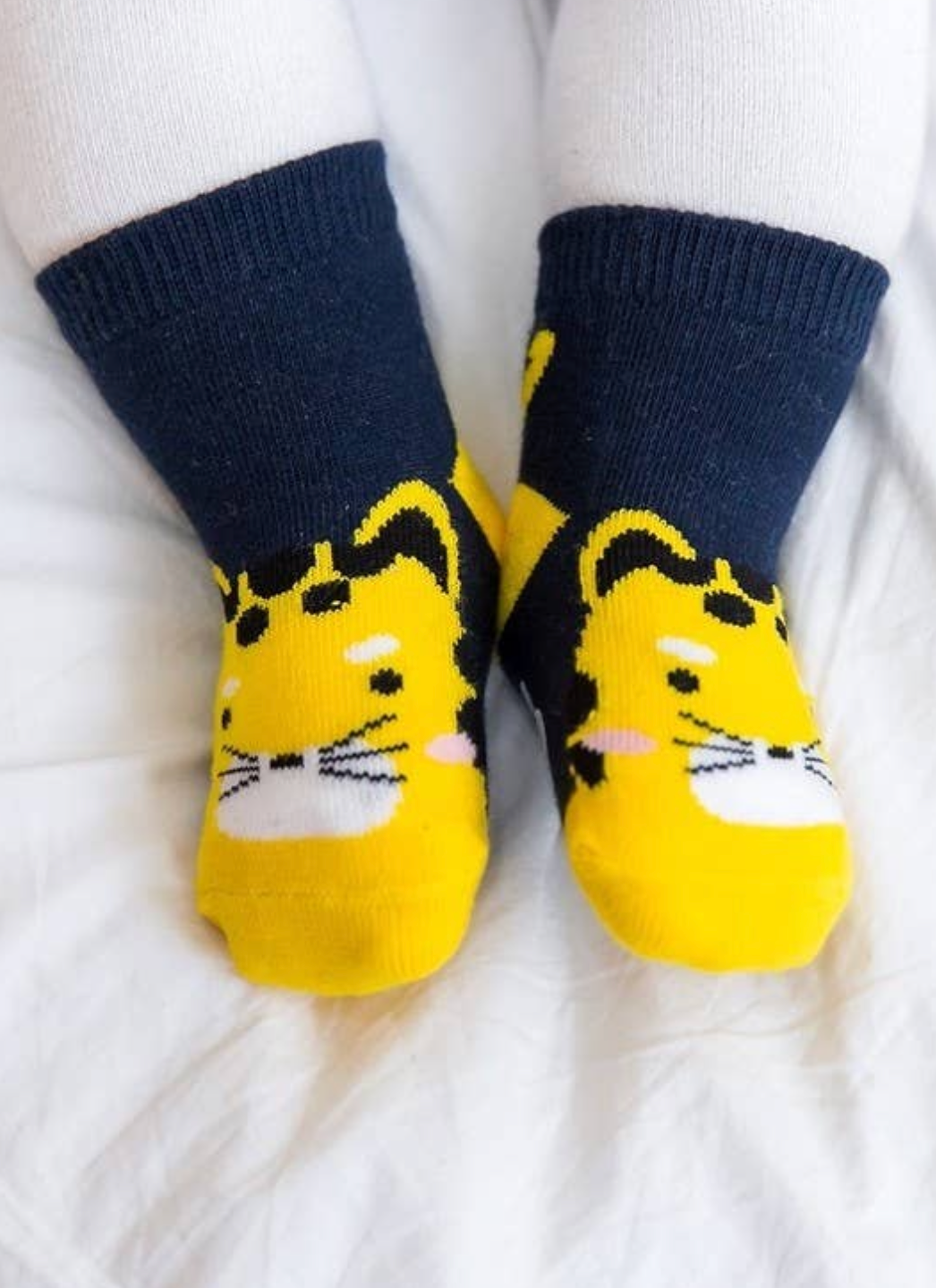 Cheetah Zoo Socks