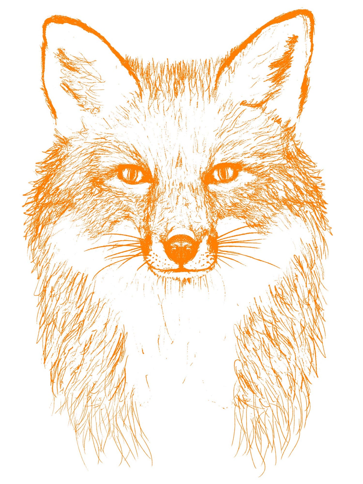 Fox Kid's Organic Cotton Tee
