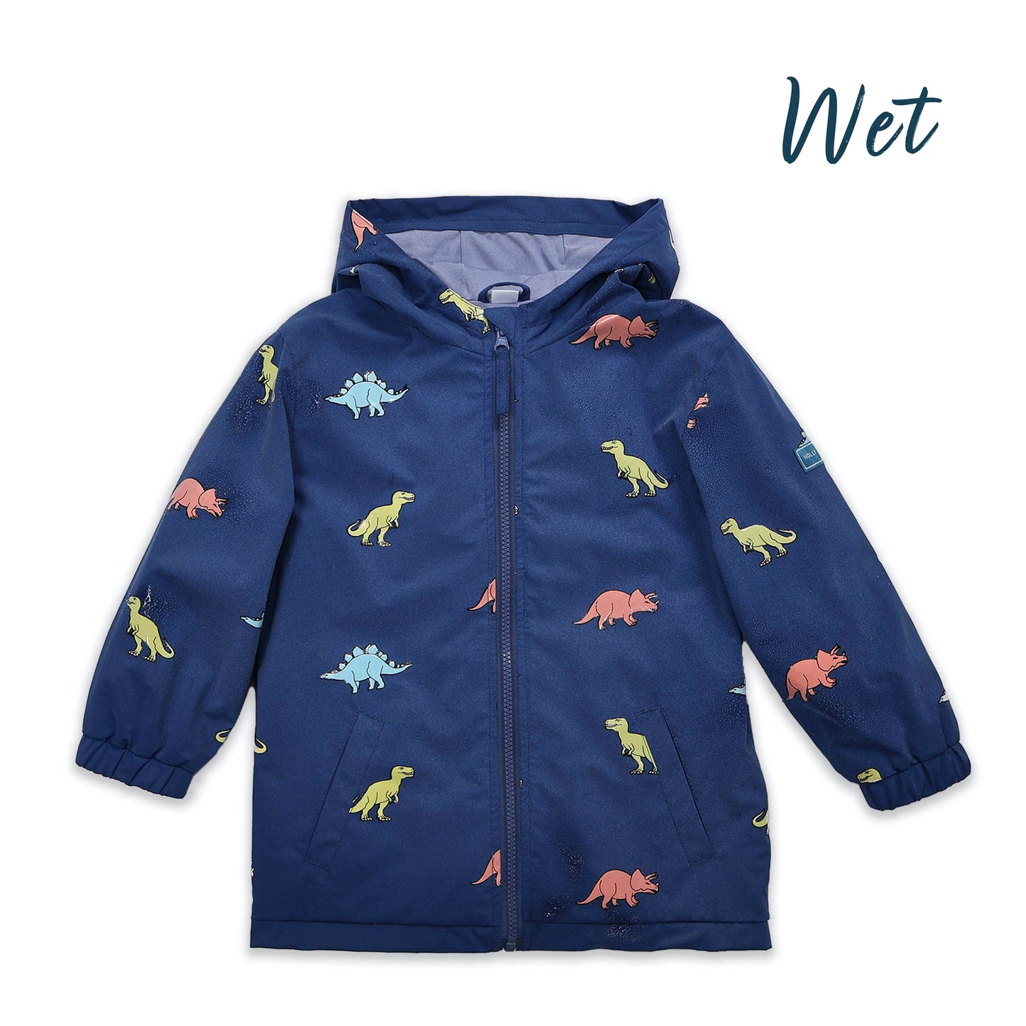 Dinosaur Color Changing Raincoat